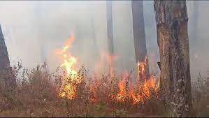 उत्तराखंड में बेकाबू हो रही आग: 24 घंटे में वनाग्नि की 64 घटना, 2 मौत