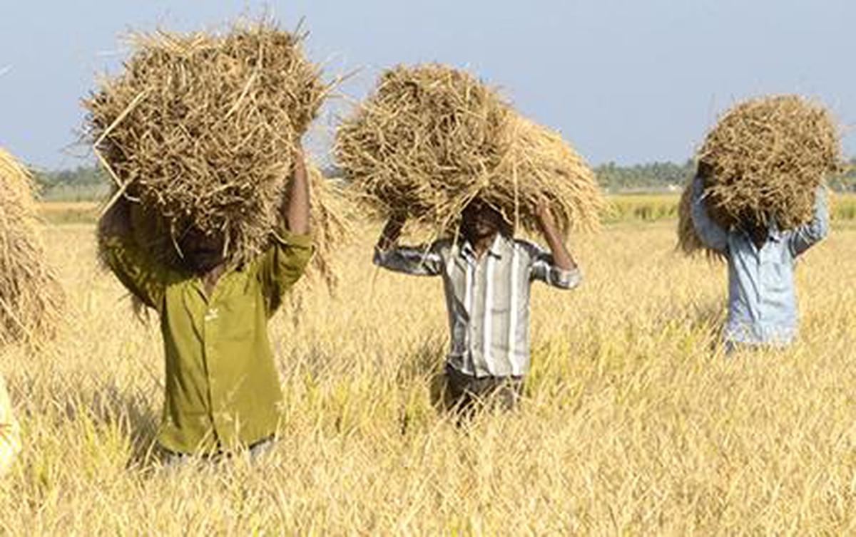 संयुक्त किसान मोर्चा का कृषि मंत्री पर लोगों को गुमराह करने का आरोप